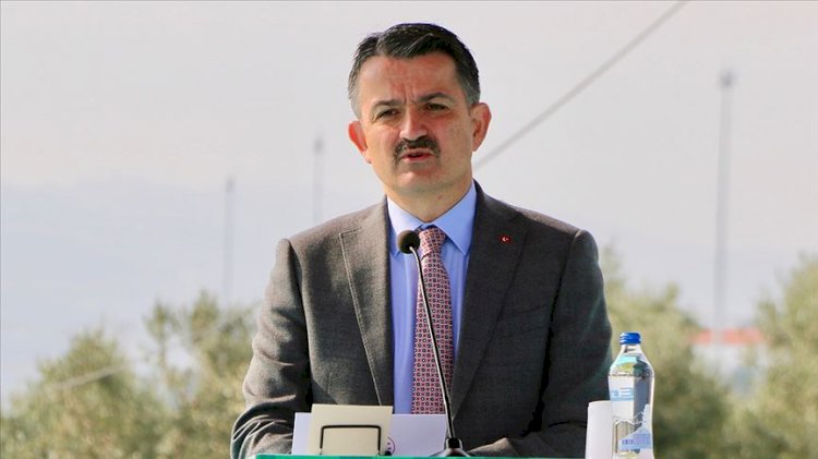 Bakan Pakdemirli'den İskenderun'daki yangına ilişkin açıklama