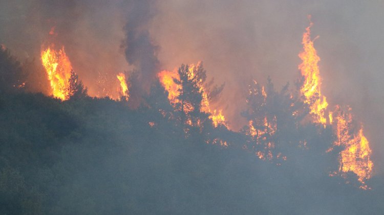 Hatay'daki yangınla ilgili 2 gözaltı
