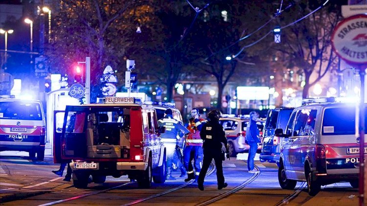 Viyana’daki terör saldırısının faili Türkiye'de tutuklanarak Avusturya'ya iade edilmiş