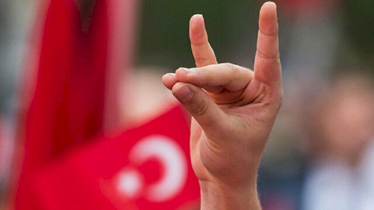 Dışişleri Bakanlığı’ndan 'Bozkurtlar' açıklaması