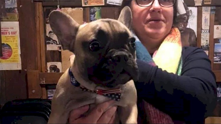 ABD’de bir kasabada köpek belediye başkanı seçildi