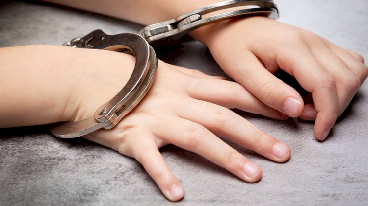 Fransa'da 3 Türk çocuğun evini bastılar!