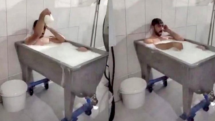 O fabrikaların sütleri hangi markalara gidiyor?