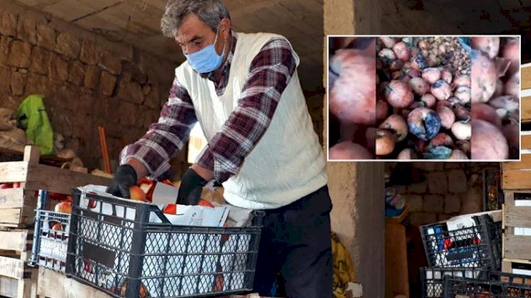 Çürük elmalardan meyve suyu iddiasına bakanlıktan flaş açıklama!