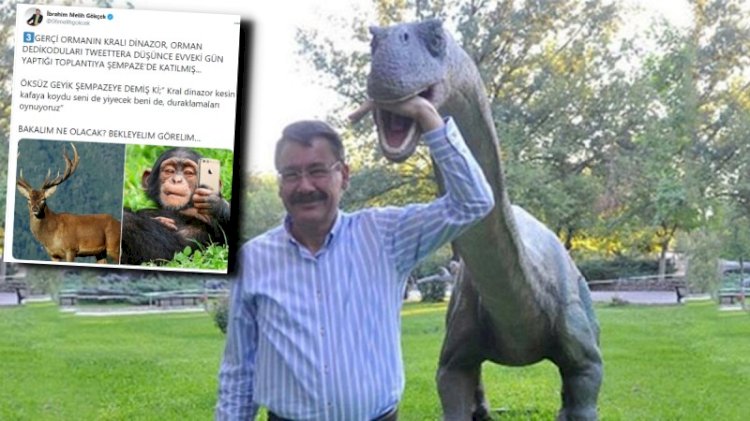 Dinozor, şempanze, geyik... Hayvanlar alemine dalan Gökçek kimlere mesaj gönderdi?