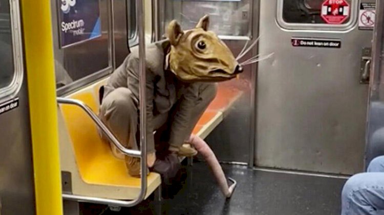 New York metrosunda ilginç görüntü!