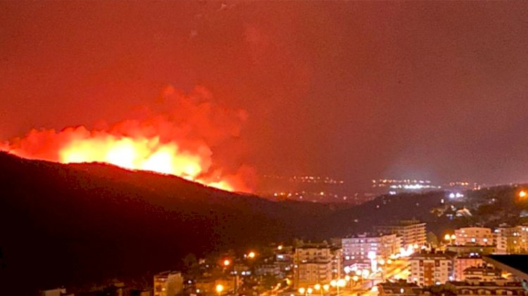 Hatay'da orman yangını