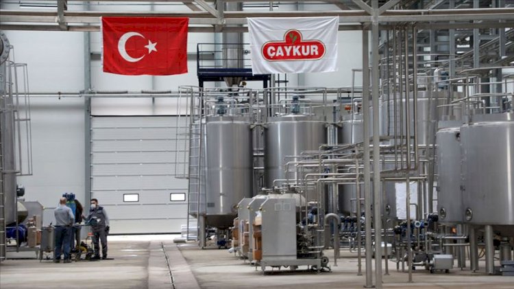 AKP'nin ÇAYKUR planı bu mu?