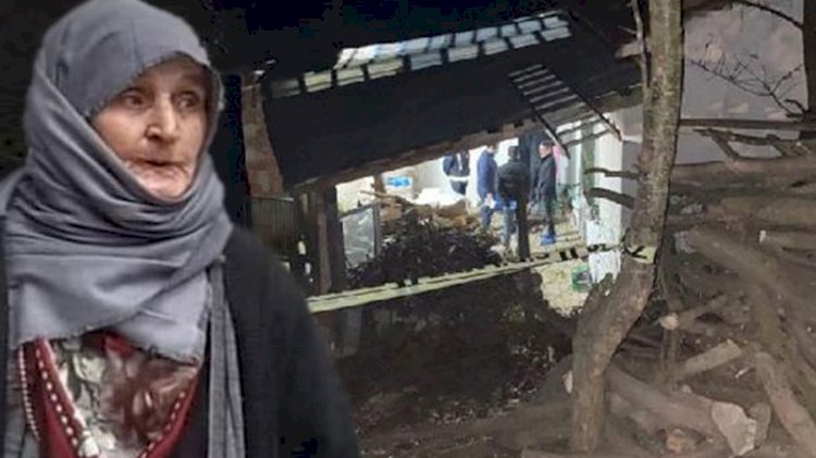 Domuz bağıyla öldürülen yaşlı kadının katilleri bulundu