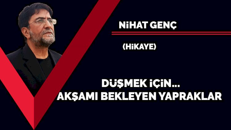 Düşmek için akşamı bekleyen yapraklar