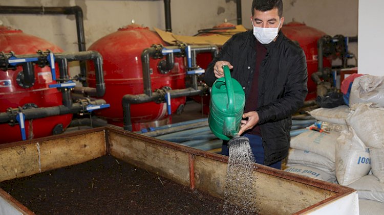 Günde 1 saat çalışarak ayda 3 ton üretiyor