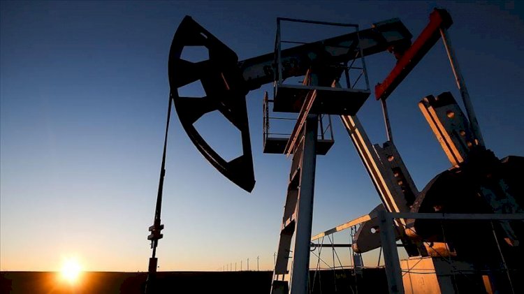 BAE'de yaklaşık 22 milyar varillik petrol sahası keşfedildi