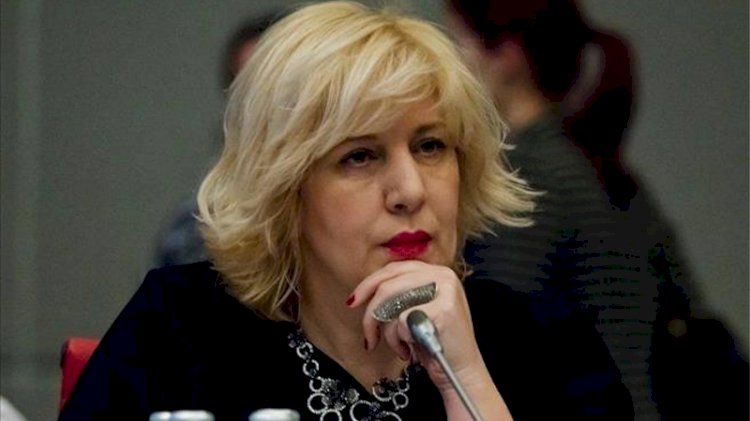 Avrupa İnsan Hakları Komiseri: Paris'te sığınmacılara polisin müdahalesinin görüntüleri şoke edici