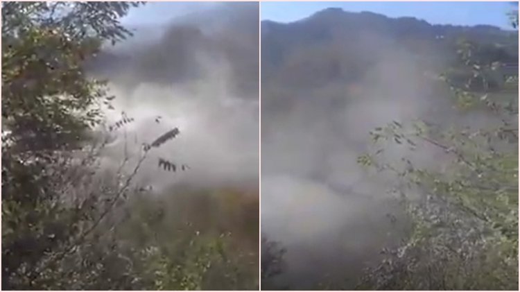 Ordu'da doğa katliamı