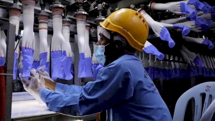Eldiven üreten fabrikadaki 2500 işçi koronaya yakalandı