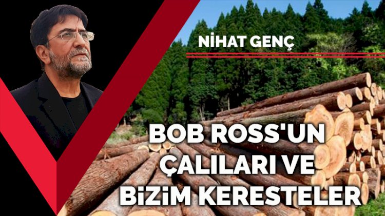 Bob Ross'un çalıları ve bizim keresteler