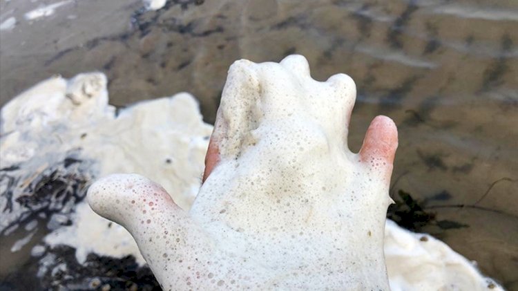 Eğirdir Gölü 'çamaşır makinası' gibi köpürüyor