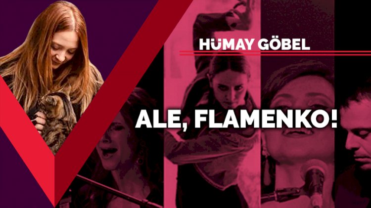 Ale, Flamenko!