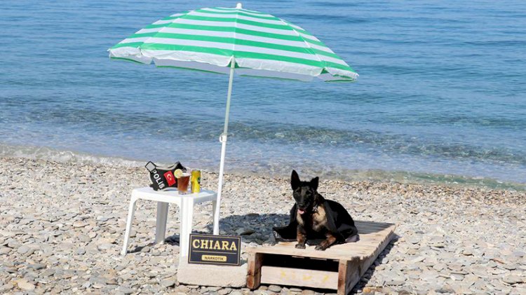 Narkotik köpeği 'Çayra' emekli oldu