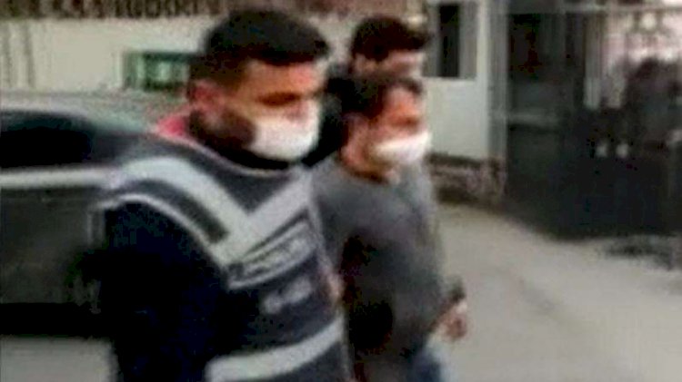 Hayvanlara yönelik cinsel içerikli söylemler paylaşan şahsın ilginç savunması