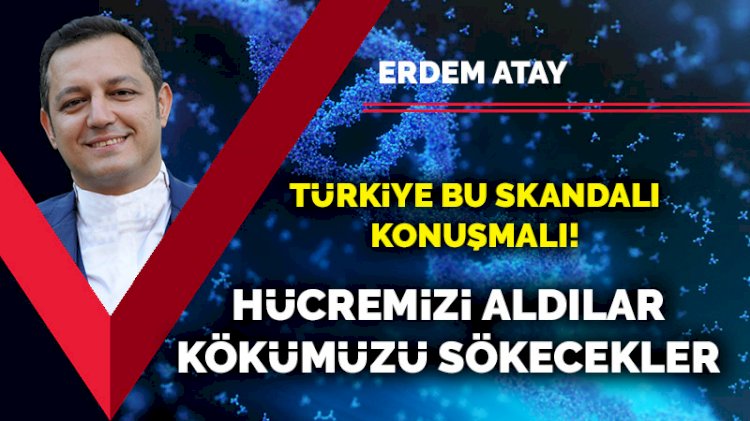 Türkiye bu skandalı konuşmalı! Hücremizi aldılar, kökümüzü sökecekler