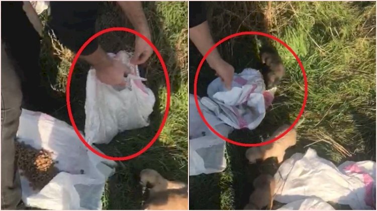 Vicdansızlığın böylesi! Çuvala koyup ölüme terkettiler
