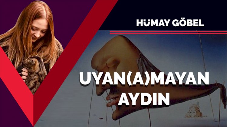 Uyan(a)mayan aydın…