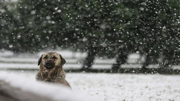 Meteoroloji'den kar ve sağanak uyarısı