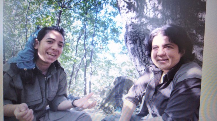 Kırmızı kodlu PKK'lının yanındaki terörist avukat çıktı