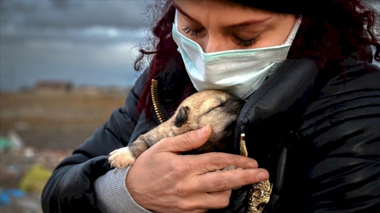 Yine para cezasıyla mı kurtulacaklar? Caniler yavru köpekleri diri diri yaktı!