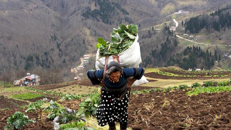 Karadeniz'in çalışkan kadınları, pandemide boş durmadı