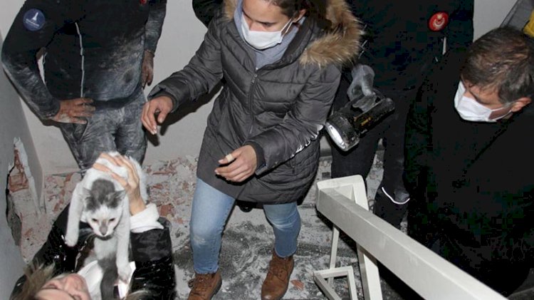 Deprem sonrası iki bina arasında sıkışan kedi 42 gün sonra kurtarıldı