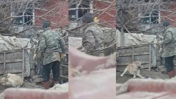 Beslediği köpeği sopayla döverken görüntülendi