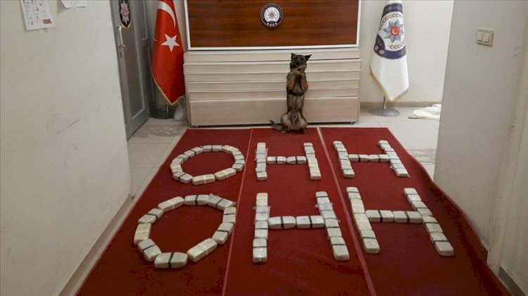 Süleyman Soylu'ya böyle mesaj gönderdiler