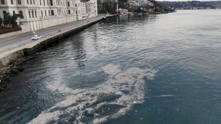 İstanbul Boğazı çöple doldu