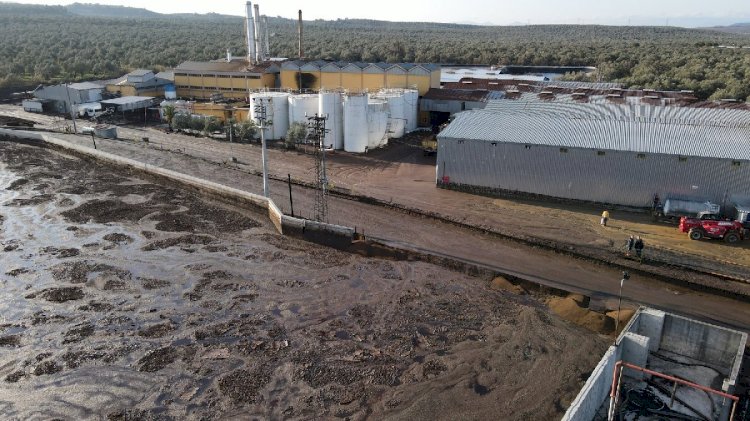 Ayvalık'ta çevre faciası: Bu fabrika disiplin altına alınsın