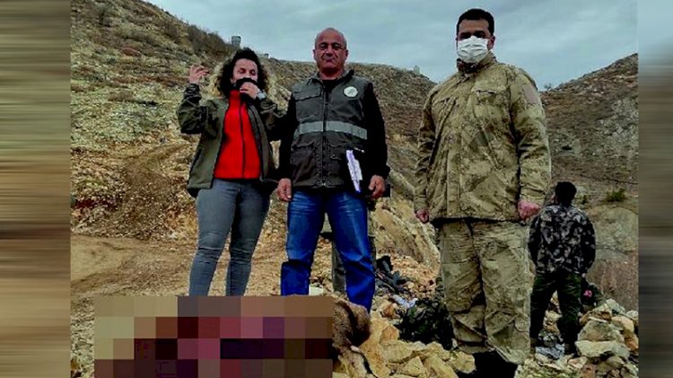 Koruma altındaki yaban keçisini avladılar!
