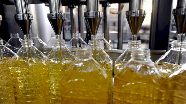 Fiyatı zirve yapan ayçiçek yağına yüzde 20 zam daha yolda
