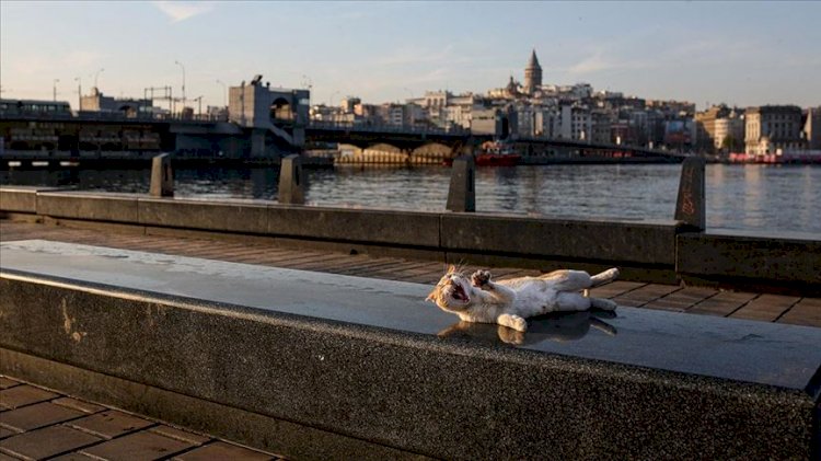 İstanbul Valiliği'nden 'açık alanlarda yemek dağıtımı' açıklaması