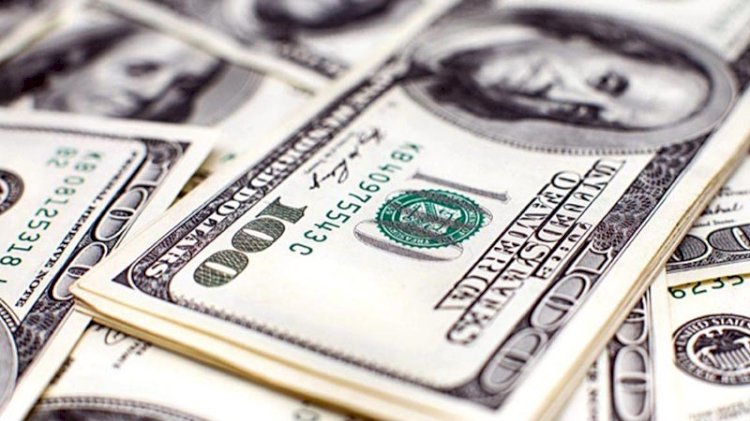 Dolar haftaya yükselişle başladı