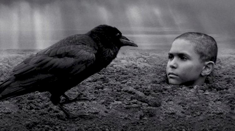 SİYAD, 2020'de vizyona giren en iyi 20 yabancı filmi seçti
