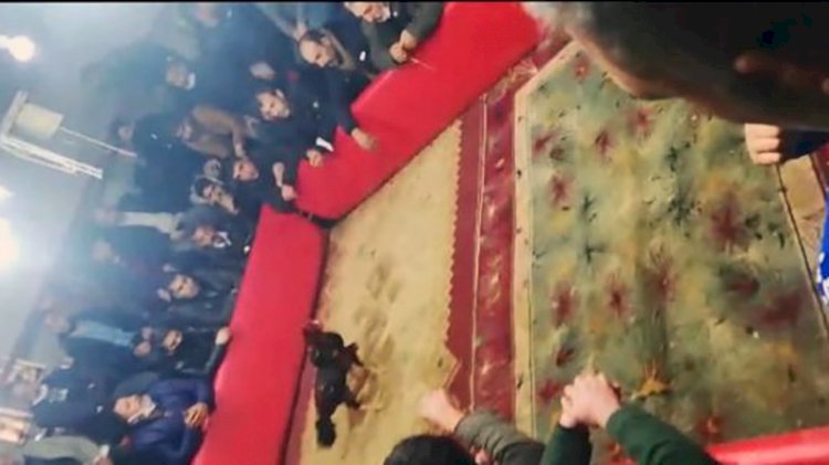 Şanlıurfa'da horoz dövüşüne baskın