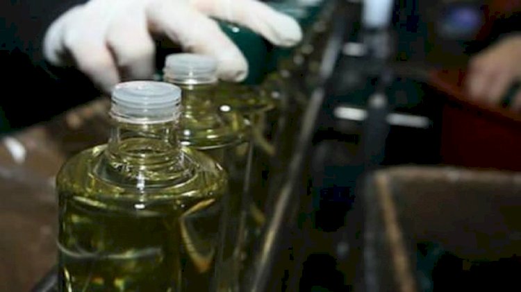 Tarihi rekor kırıldı! Yüzde 878 artış oldu