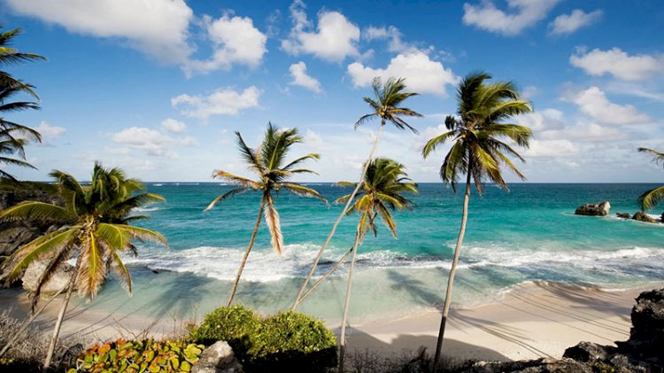 Barbados'tan evden çalışana bir yıllık vize!
