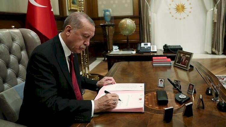 Erdoğan'a yeni danışman