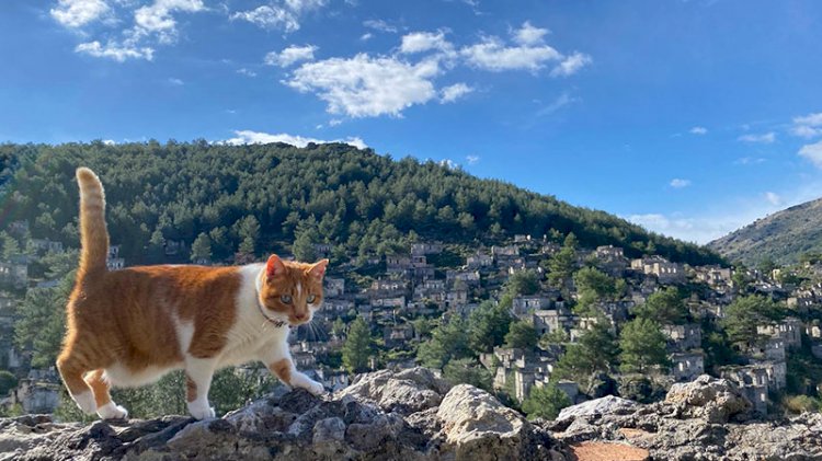 Pandemide bile turistlerin ilgi odağı: Hayalet köy
