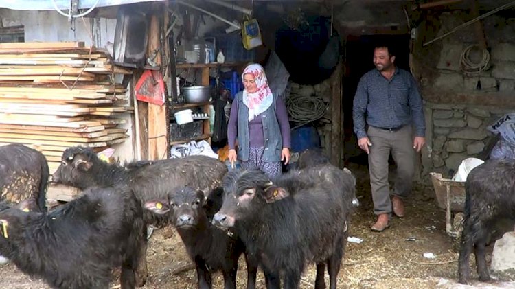 3 manda ile başladılar, şimdi yetişemiyorlar