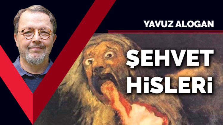 Şehvet hisleri