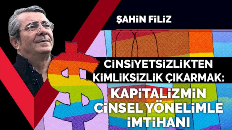 Cinsiyetsizlikten kimliksizlik çıkarmak: Kapitalizmin cinsel yönelimle imtihanı