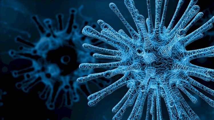 Dünyayı dehşete düşüren ihtimal: SARS-CoV-2 ile MERS birleşirse...